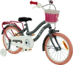 2Cycle Pretty Meisjesfiets - 16 Inch - Grijs-Roze - Meisjesfiets -Volare Verkoop 1200x1062 2