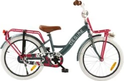 2Cycle Desire Kinderfiets - 20 Inch - Voordrager -Grijs-Roze - Meisjesfiets -Volare Verkoop 1200x783 5