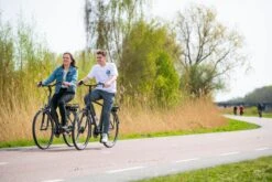 Amigo E-Vibe D1 - Elektrische Stadsfiets Voor Heren - Met 7 Versnellingen - Matgrijs -Volare Verkoop 1200x800 9