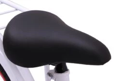 Amigo Sweetheart Meisjesfiets - Kinderfiets 20 Inch - Wit -Volare Verkoop 1200x813