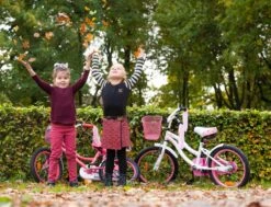 Amigo Flower Meisjesfiets - Kinderfiets 18 Inch - Wit -Volare Verkoop 1200x917 13