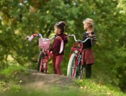 Amigo Bloom Meisjesfiets - Kinderfiets 20 Inch - Turquoise -Volare Verkoop 1200x917 46